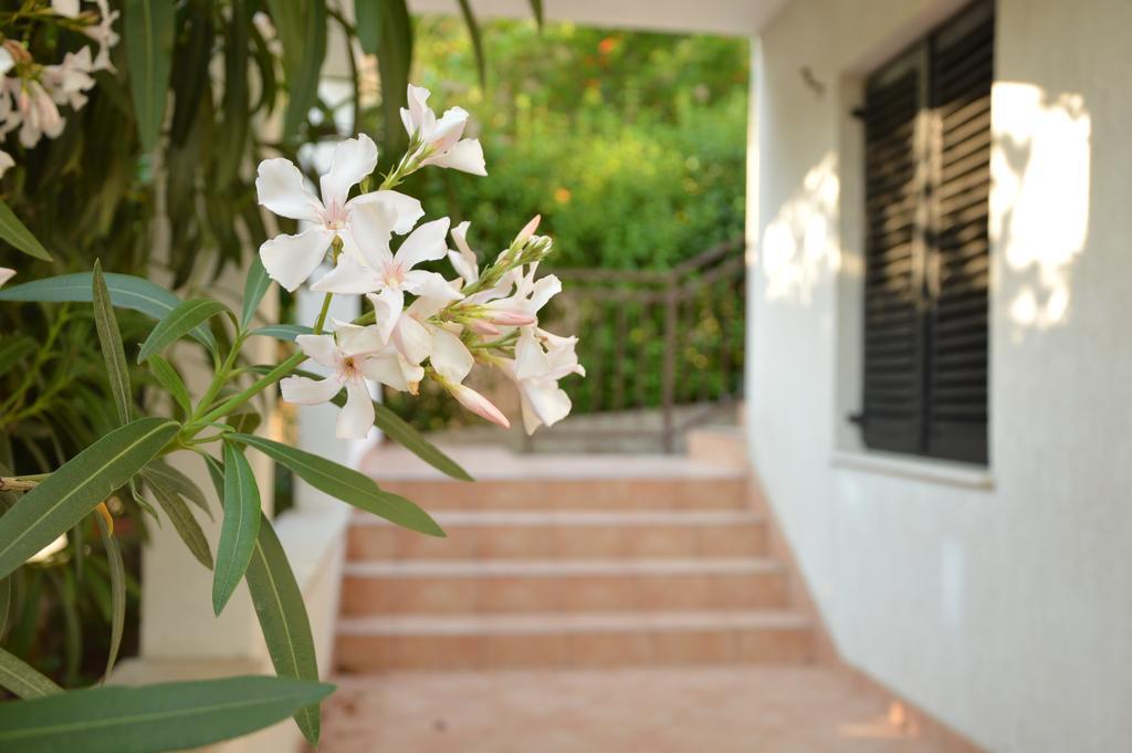 Holiday House Maja Podglavica Exterior foto